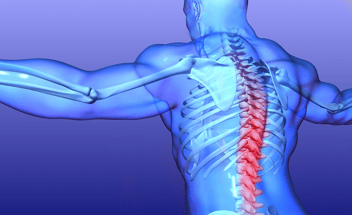 Chiropractic Care for Back Pain in Morriston, FL