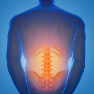 Back Pain Chiropractor Near Ocklawana, FL