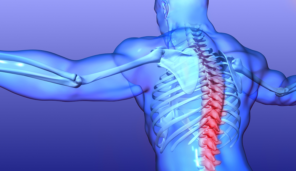 Best Florida Chiropractor