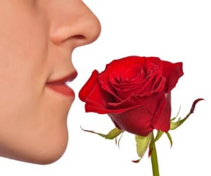 Olfactory testing for TBI Patients 